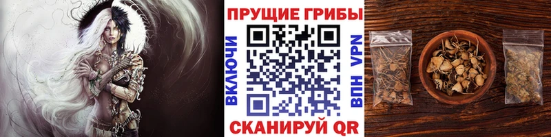 даркнет сайт  Магнитогорск  Галлюциногенные грибы мухоморы 
